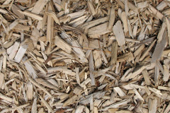 biomass boilers Pontdolgoch