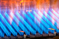 Pontdolgoch gas fired boilers